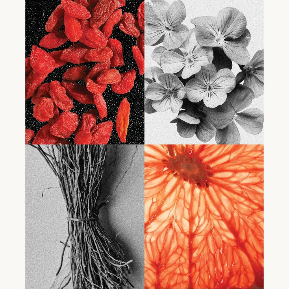 Nước hoa Kỷ Tử – Goji Berry | Lê Mai
