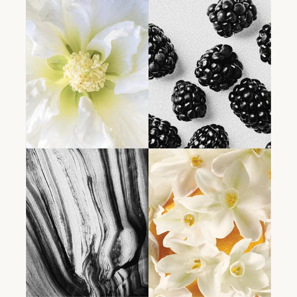 Nước hoa Phù Dung Trắng – White Fuyo | Lê Mai