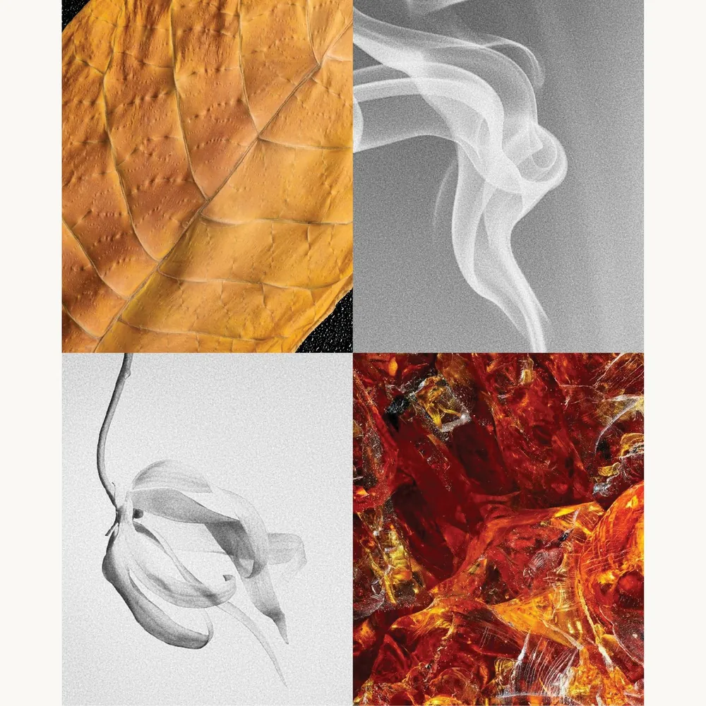 Nước hoa Thuốc Lá – Tobacco | Lê Mai