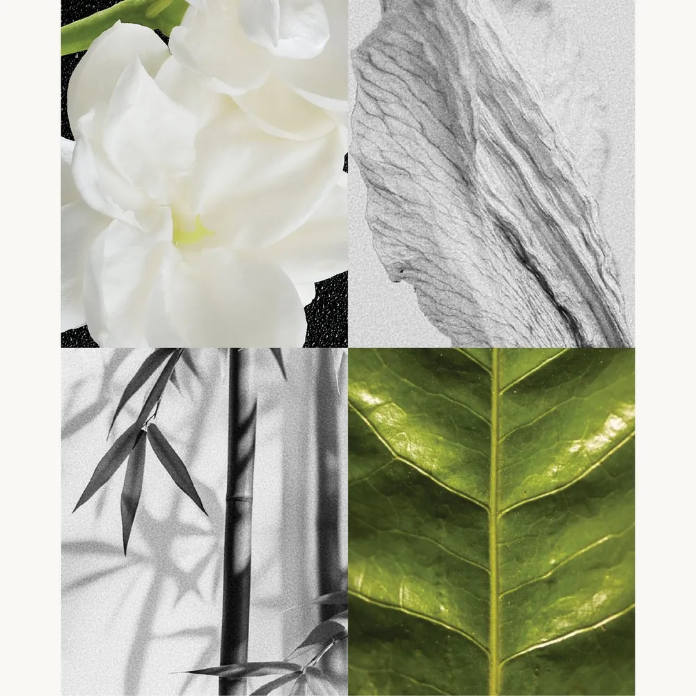 Nước hoa Trà Nhài – Jasmine Tea | Lê Mai