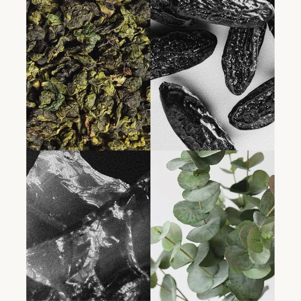 Nước hoa Trà Ôlong – Oolong Tea | Lê Mai