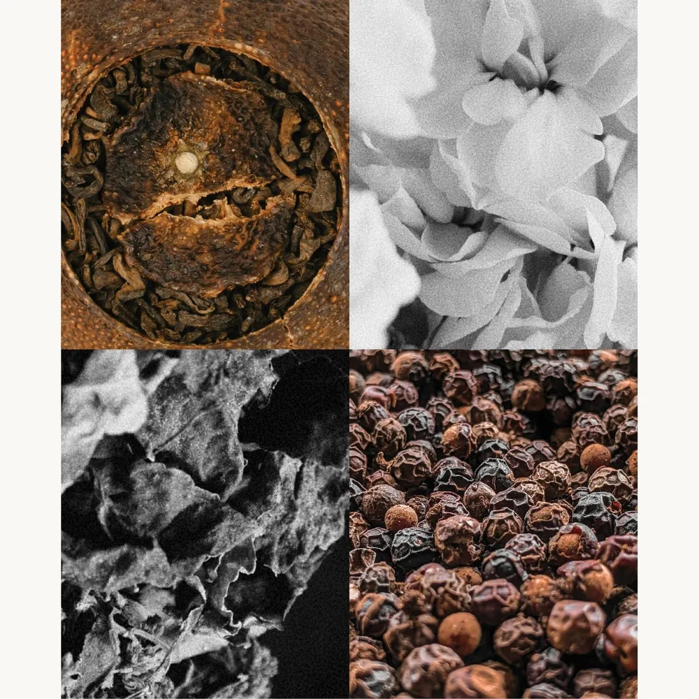 Nước hoa Trà Phổ Nhĩ Cam – Orange Pu'er Tea | Lê Mai