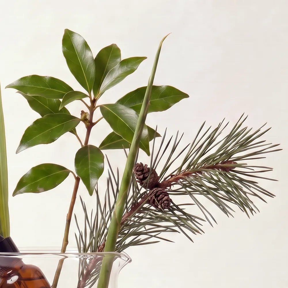 Essential Oil Blend No.096, Zero Nine Six · ingredient close-up in a glass | Lê Mai