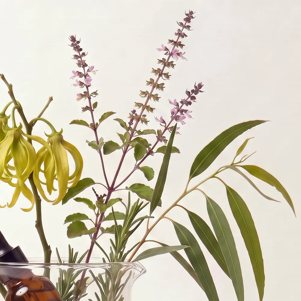 Essential Oil Blend No.097, Zero Nine Seven · ingredient close-up in a glass | Lê Mai