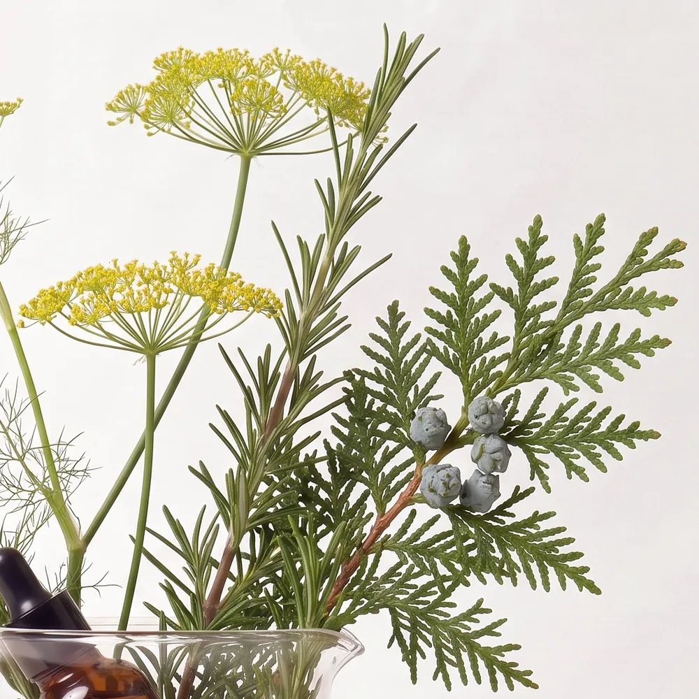 Essential Oil Blend No.711, Seven One One · close-up of ingredients in a glass | Lê Mai