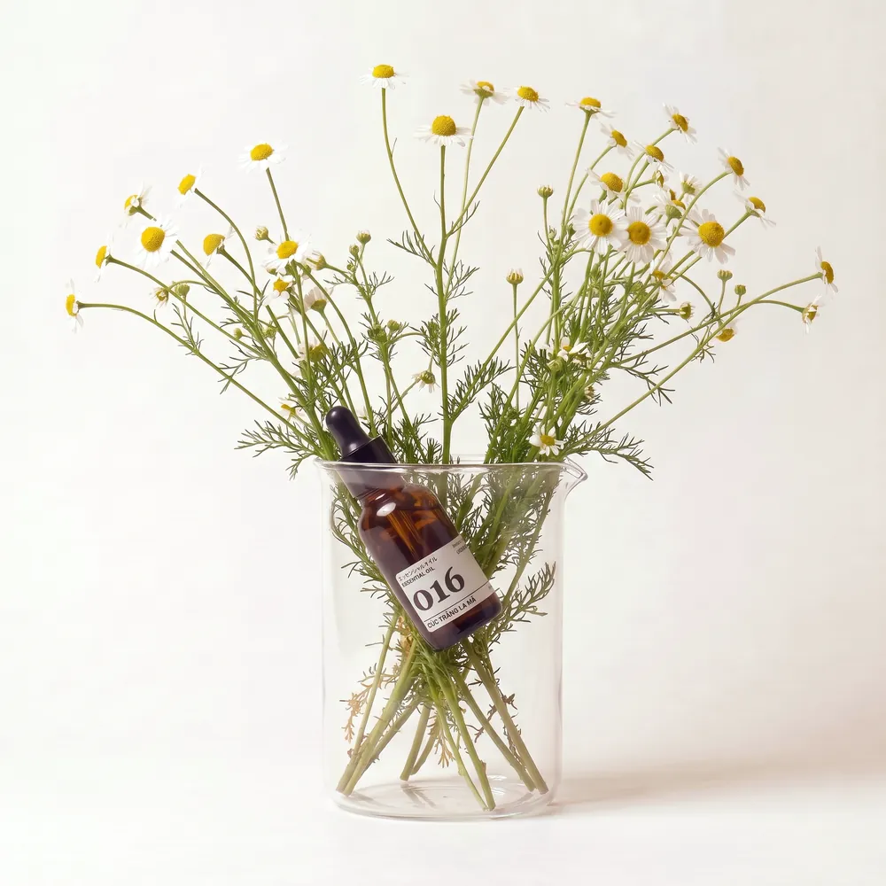 Tinh dầu Cúc Trắng La Mã – White Chamomile · chai tinh dầu trong ly nguyên liệu | Lê Mai