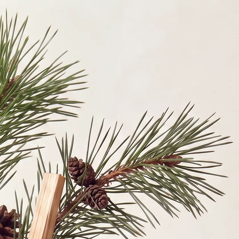 Tinh dầu Gỗ Thông – Pine Wood · cận nguyên liệu trong ly | Lê Mai