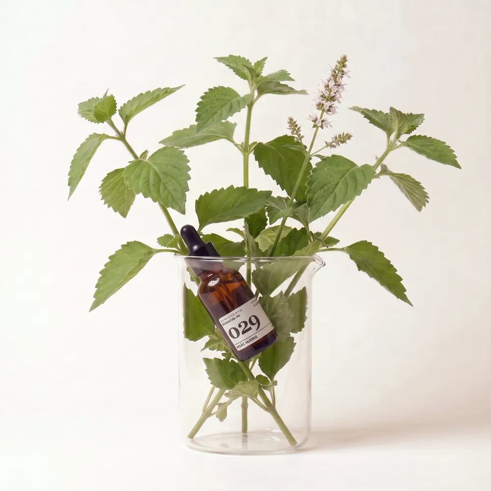 Tinh dầu Hoắc Hương – Patchouli · chai tinh dầu trong ly nguyên liệu | Lê Mai