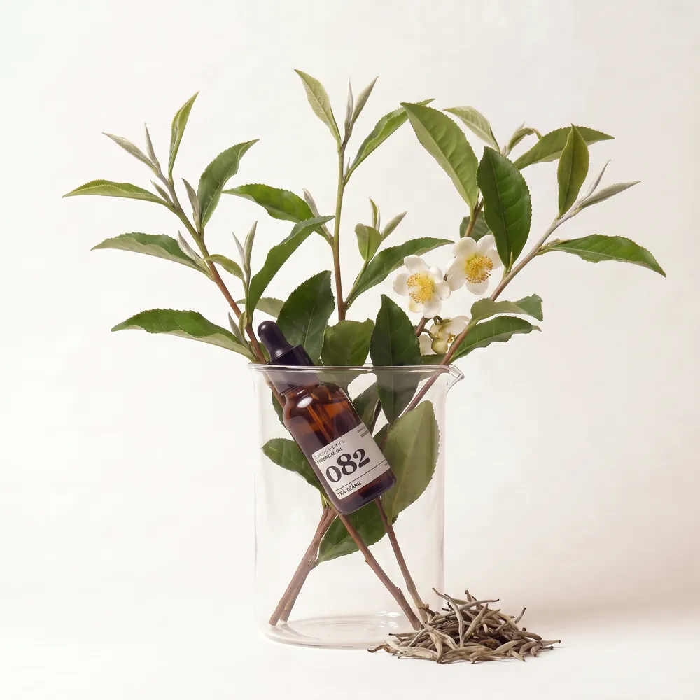 Tinh dầu Trà Trắng II – White Tea II · chai tinh dầu trong ly nguyên liệu | Lê Mai