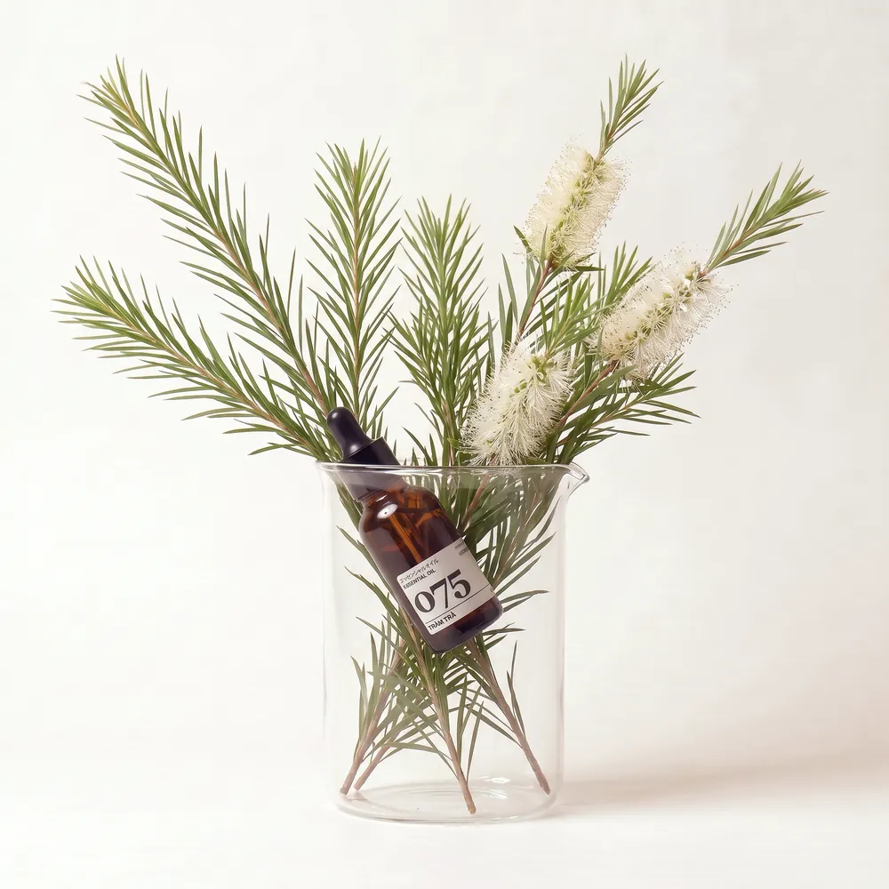 Tinh dầu Tràm Trà – Tea Tree · chai tinh dầu trong ly nguyên liệu | Lê Mai