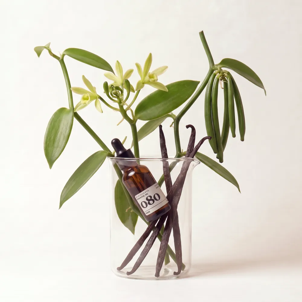 Tinh dầu Vani – Vanilla · chai tinh dầu trong ly nguyên liệu | Lê Mai