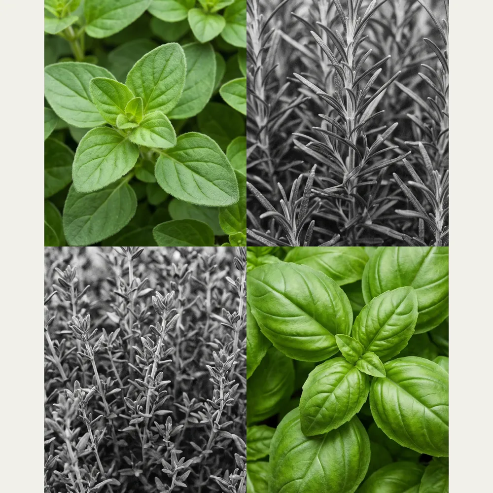 Mixed Herbs Tây Artisanal Soap No.098 · ingredients | Lê Mai