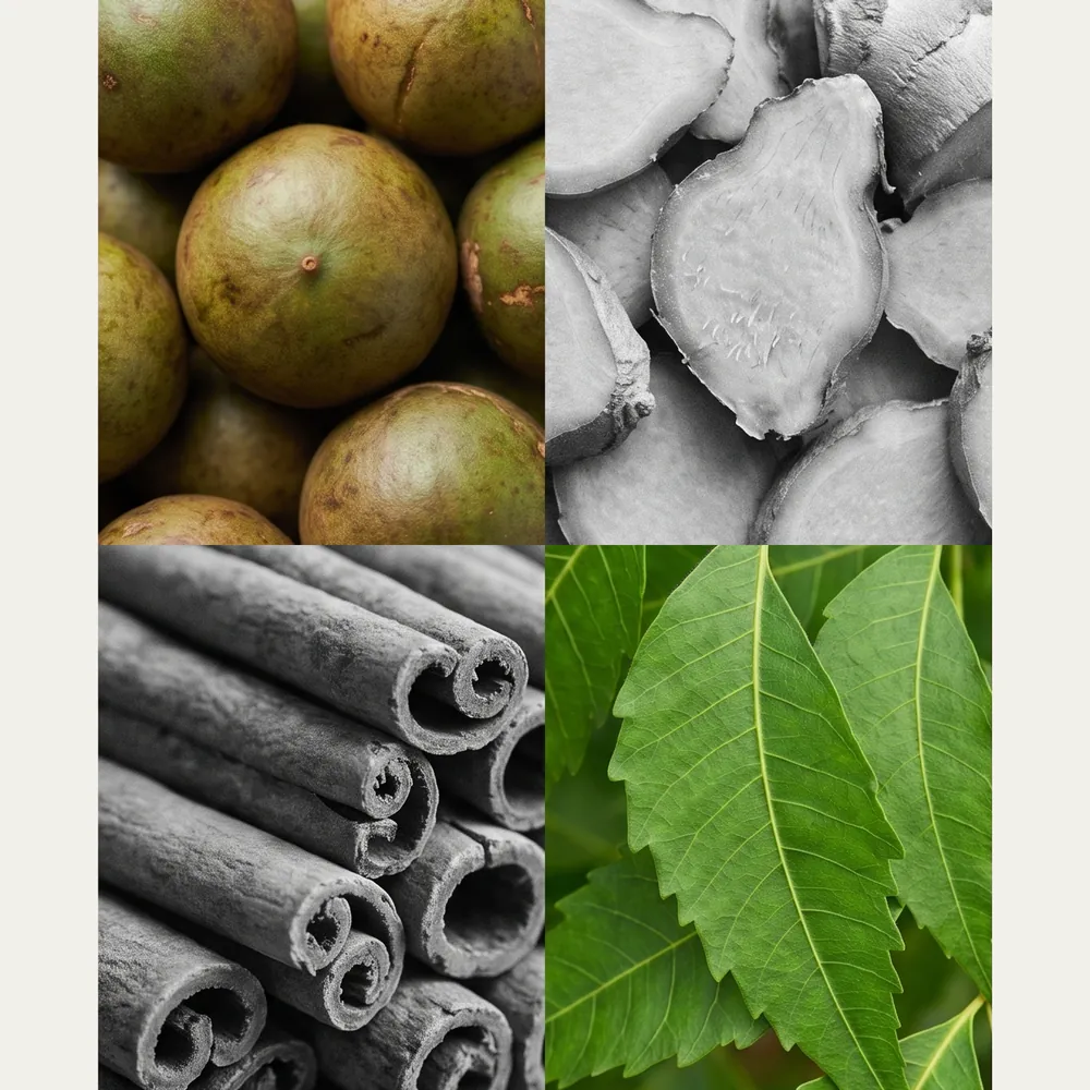 Tamanu – Neem Leaf Artisanal Soap No.096 · ingredients | Lê Mai