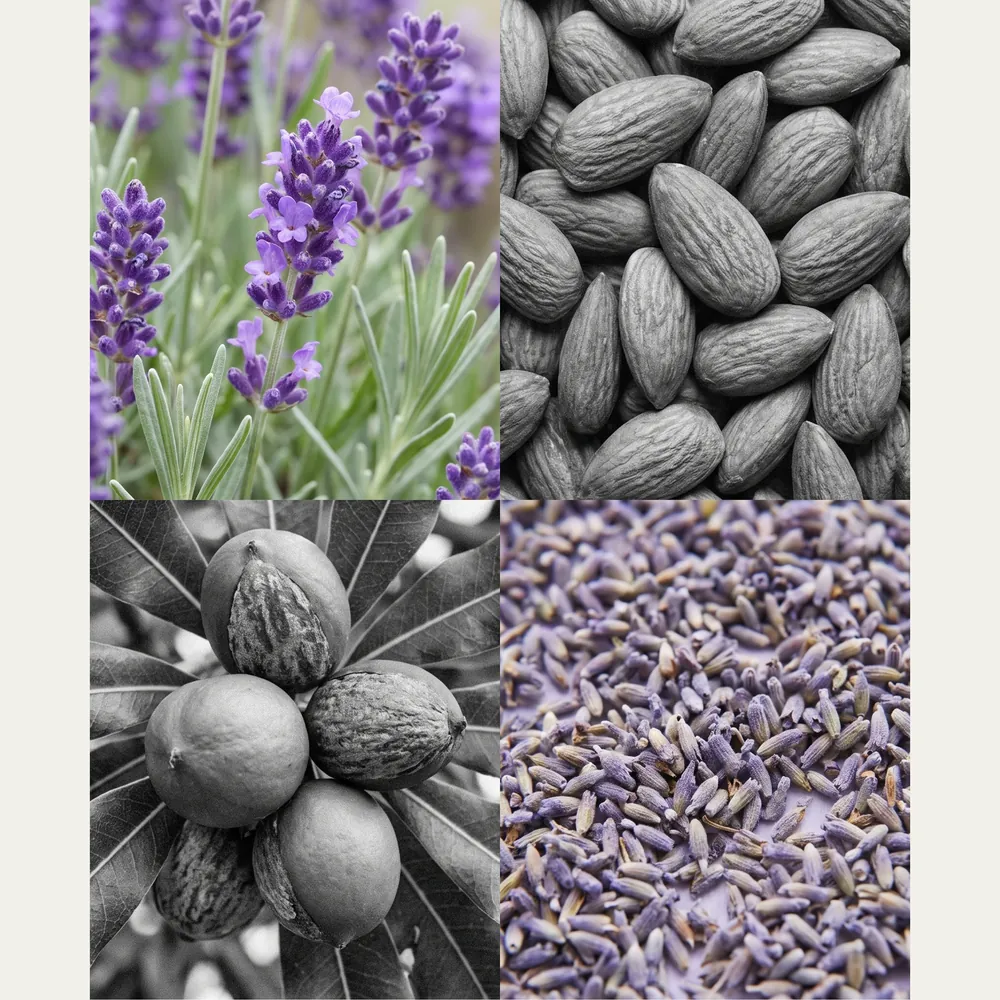 Lavender Artisanal Soap · ingredients | Lê Mai